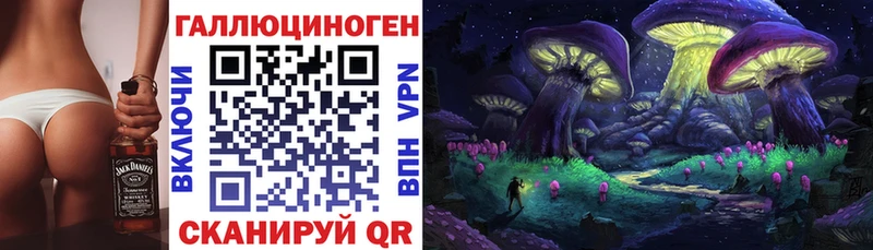 наркота  Моздок  Псилоцибиновые грибы ЛСД 